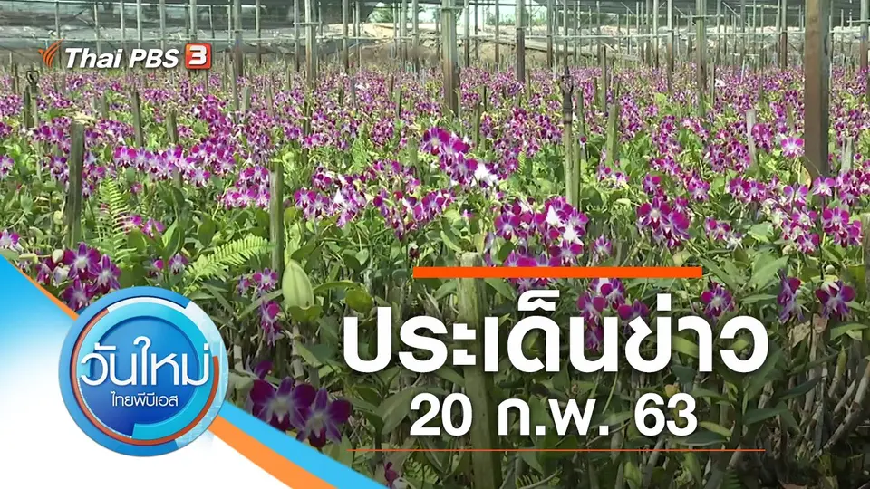 วันใหม่  ไทยพีบีเอส