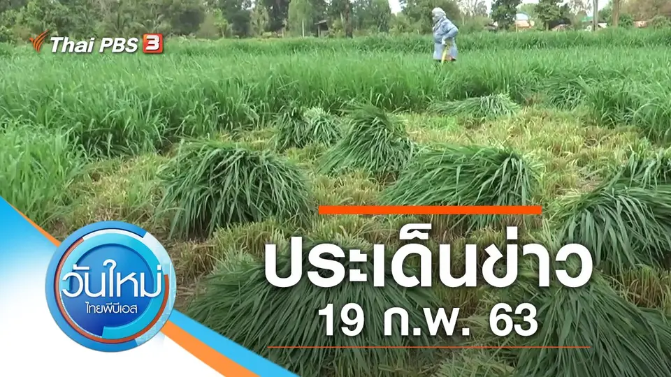 วันใหม่  ไทยพีบีเอส