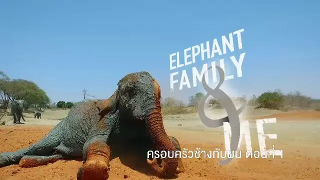 สารคดี ครอบครัวช้างกับผม ตอนที่ 1