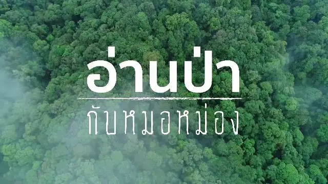 อ่านป่า กับหมอหม่อง