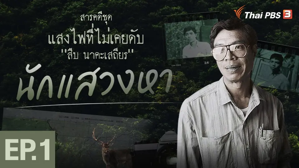 แสงไฟไม่เคยดับ สีบ นาคะเสถียร