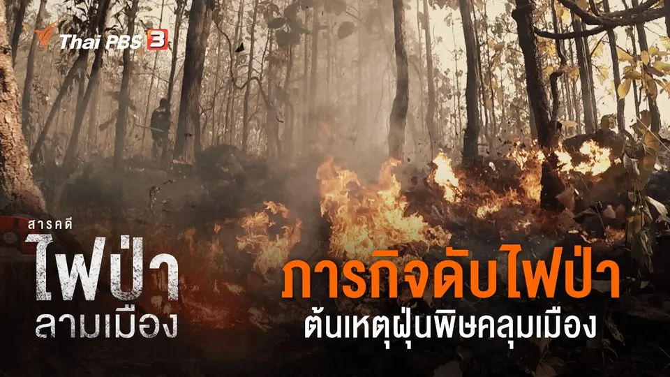 ไฟป่าลามเมือง