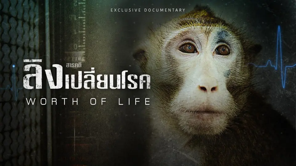 สารคดี ลิงเปลี่ยนโรค : Worth of Life