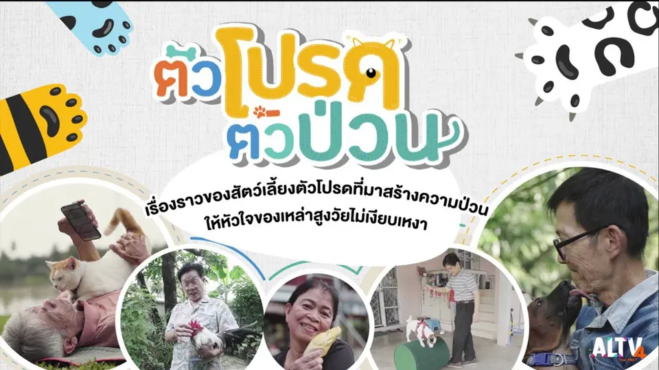 ตัวโปรดตัวป่วน