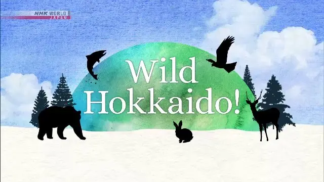 Wild Hokkaido