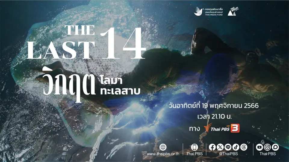 The Last 14 วิกฤตโลมา วิกฤตทะเลสาบ