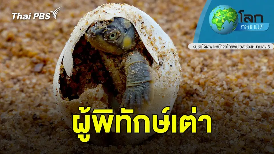 โลกหลากมิติ