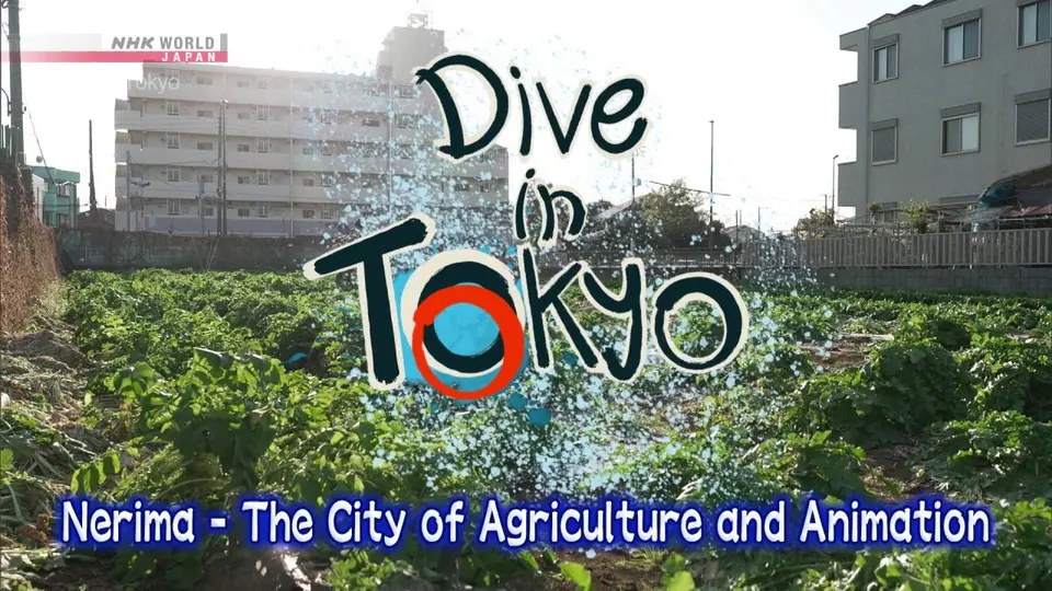 Dive in Tokyo