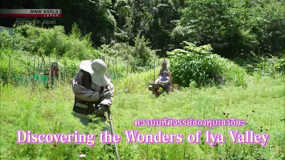 Journeys in Japan การท่องเที่ยวในญี่ปุ่น