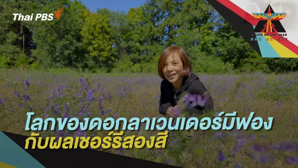 A Life on the Road  ถนน คน ชีวิต