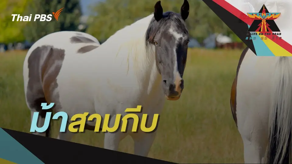 A Life on the Road  ถนน คน ชีวิต