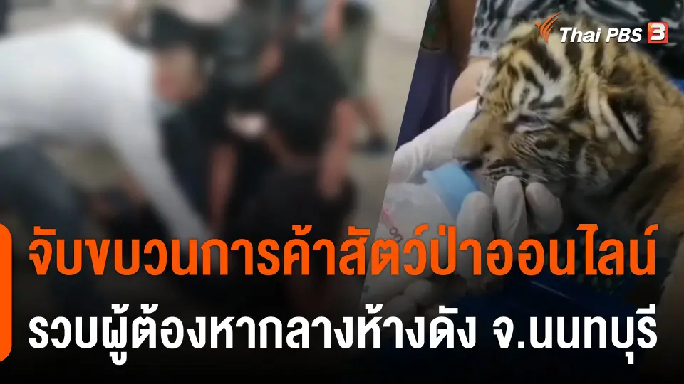 จับขบวนการค้าสัตว์ป่าออนไลน์ รวบผู้ต้องหากลางห้างดัง จ.นนทบุรี