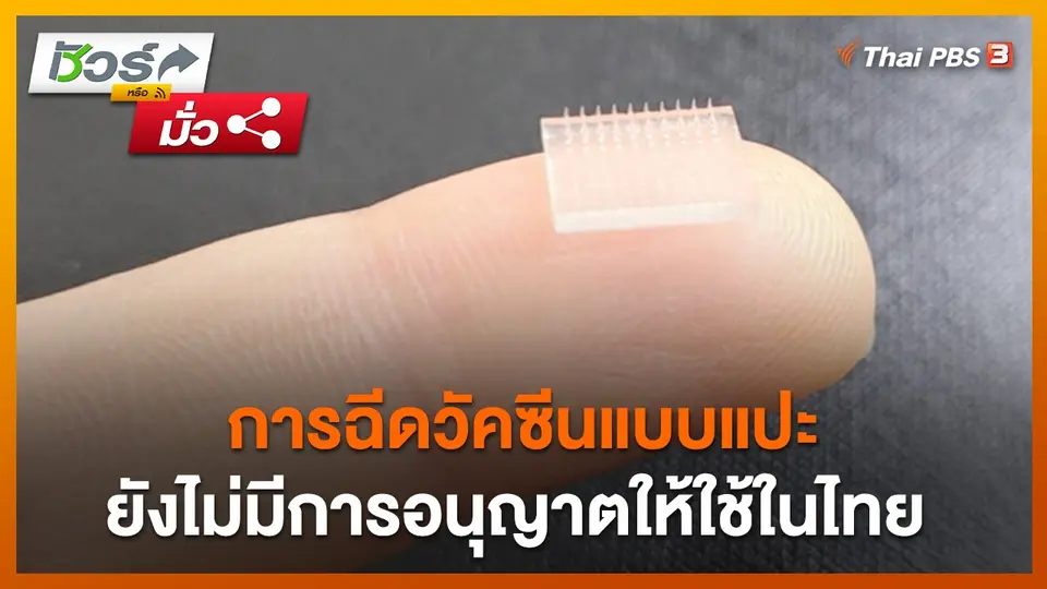 ชัวร์หรือมั่ว : การฉีดวัคซีนแบบแปะยังไม่มีการอนุญาตให้ใช้ในไทย