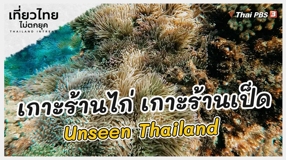 เที่ยวทั่วไทย : เกาะร้านไก่ เกาะร้านเป็ด Unseen Thailand