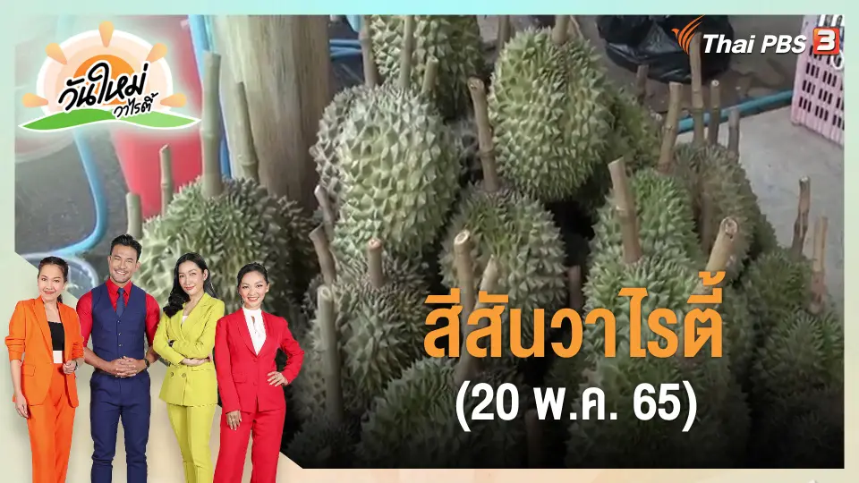 ​สีสันวาไรตี้ (20 พ.ค. 65)