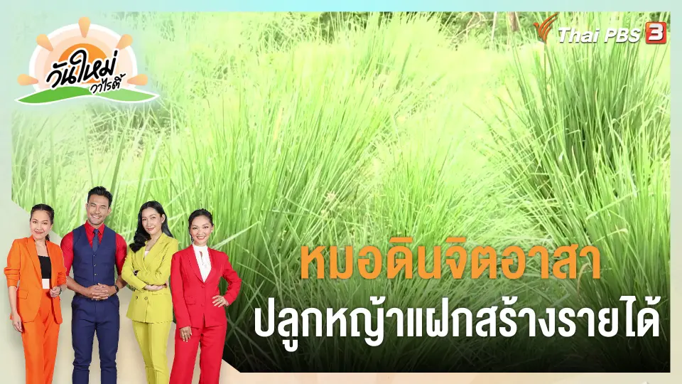 ​พอดีพอเพียง : หมอดินจิตอาสา ปลูกหญ้าแฝกสร้างรายได้