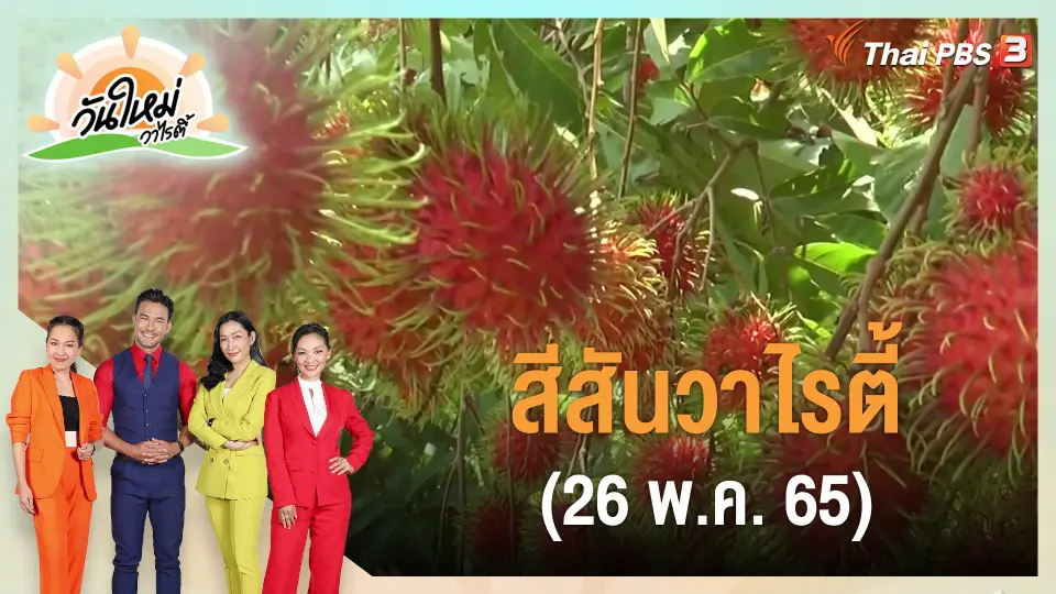 ​สีสันวาไรตี้ (26 พ.ค. 65)