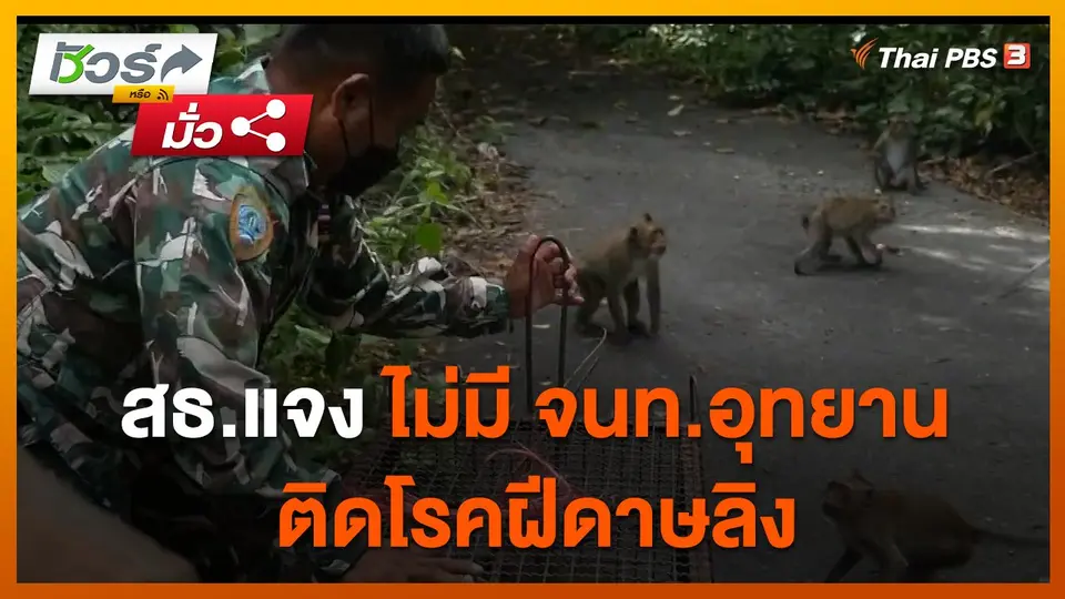 ชัวร์หรือมั่ว : สธ.แจง ไม่มี จนท.อุทยาน ติดโรคฝีดาษลิง