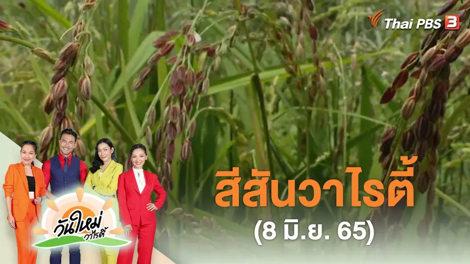 สีสันวาไรตี้ (8 มิ.ย. 65)
