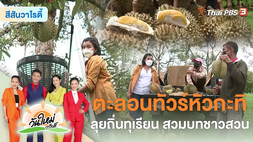 สีสันวาไรตี้ : ตะลอนทัวร์หัวกะทิ ลุยถิ่นทุเรียน สวมบทชาวสวน จ.จันทบุรี