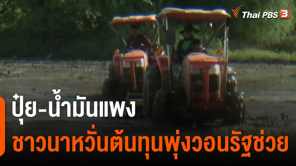 ปุ๋ย-น้ำมันแพง ชาวนาหวั่นต้นทุนพุ่งวอนรัฐช่วย
