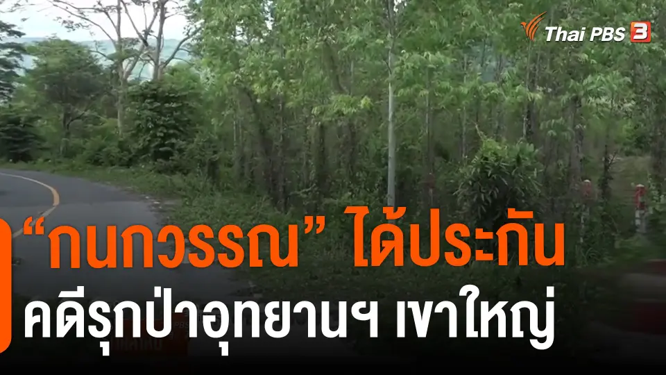 ​"กนกวรรณ" ได้ประกัน คดีรุกป่าอุทยานฯ เขาใหญ่