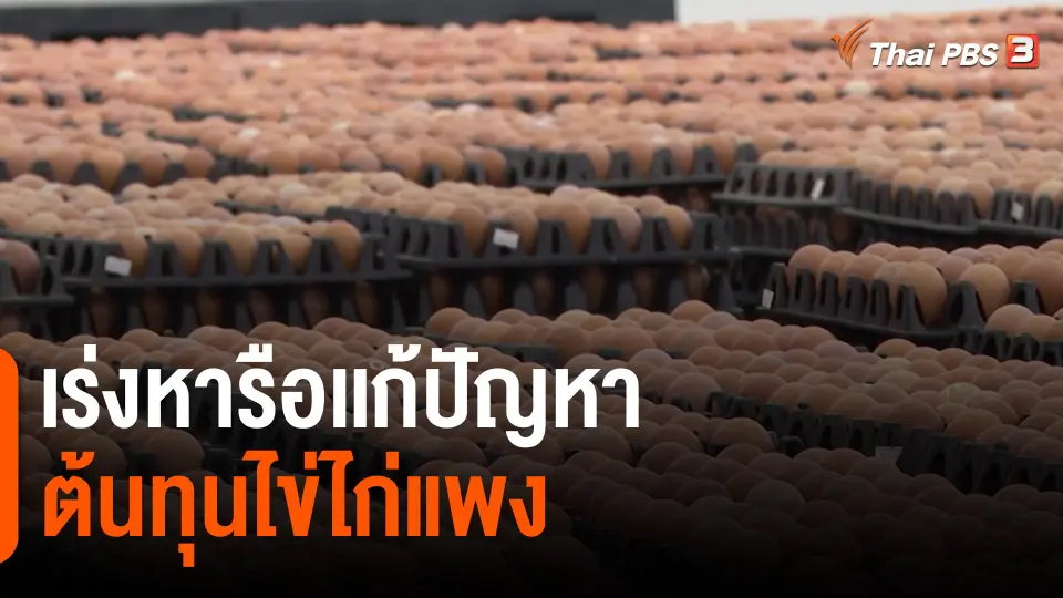 ​กินอยู่รู้รอบ : เร่งหารือเเก้ปัญหาต้นทุนไข่ไก่แพง
