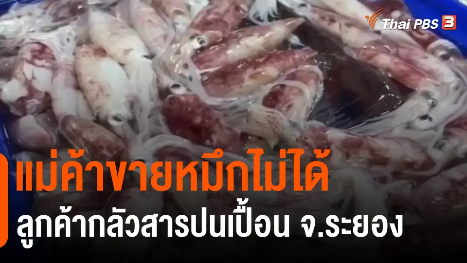 ​แม่ค้าขายหมึกไม่ได้ ลูกค้ากลัวสารปนเปื้อน จ.ระยอง