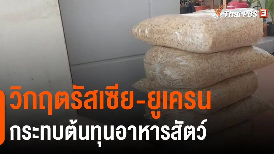 ​กินอยู่รู้รอบ : วิกฤตรัสเซีย-ยูเครน กระทบต้นทุนอาหารสัตว์