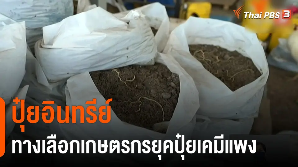 จับสัญญาณเศรษฐกิจ : ปุ๋ยอินทรีย์ ทางเลือกเกษตรกรยุคปุ๋ยเคมีแพง