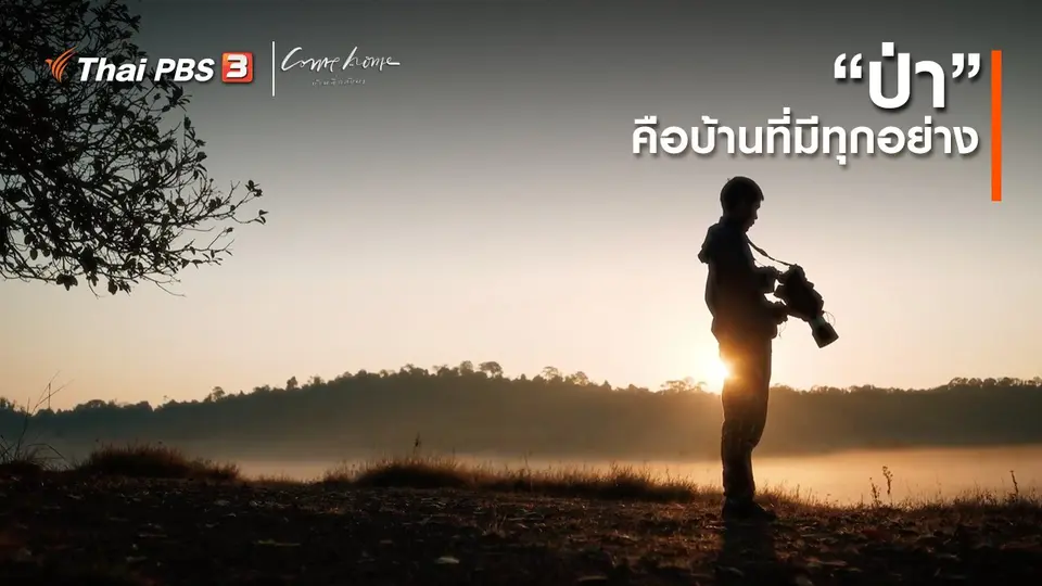 ​เรื่องเล่าคนกลับบ้าน : “ป่า” คือบ้านที่มีทุกอย่าง