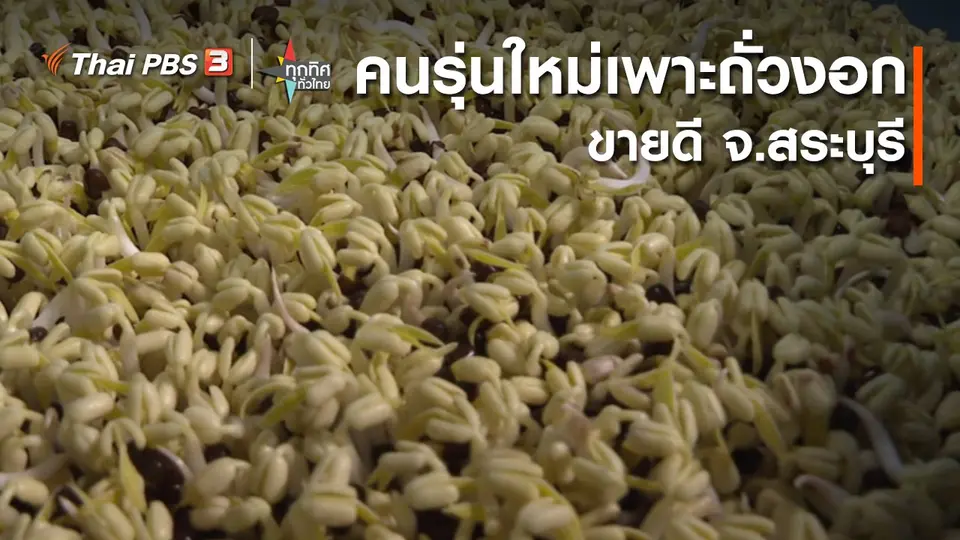 อาชีพทั่วไทย : คนรุ่นใหม่เพาะถั่วงอกขายดี จ.สระบุรี​