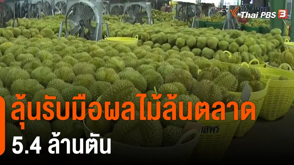 ​กินอยู่รู้รอบ : ลุ้นรับมือผลไม้ล้นตลาด 5.4 ล้านตัน