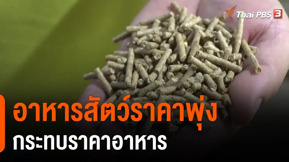 ​กินอยู่รู้รอบ : อาหารสัตว์ราคาพุ่งกระทบราคาอาหาร