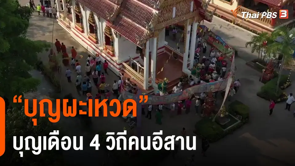 ​"บุญผะเหวด" บุญเดือน 4 วิถีคนอีสาน