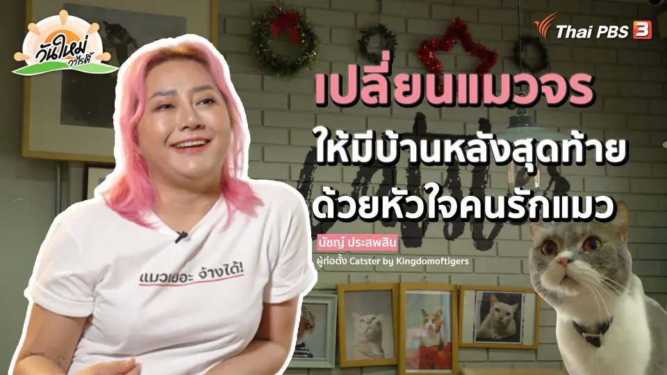 พอดีพอเพียง : เปลี่ยนแมวจรให้มีบ้านหลังสุดท้าย ด้วยหัวใจคนรักแมว