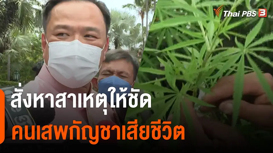"อนุทิน" สั่งหาสาเหตุให้ชัดคนเสพกัญชาเสียชีวิต