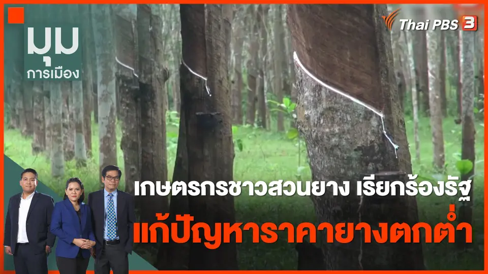 เกษตรกรชาวสวนยาง เรียกร้องรัฐแก้ปัญหาราคายางตกต่ำ