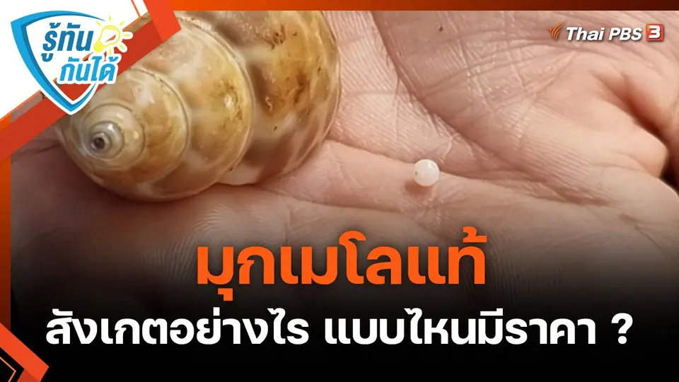 รู้ทันกันได้ : มุกเมโลแท้ สังเกตอย่างไร แบบไหนมีราคา ?