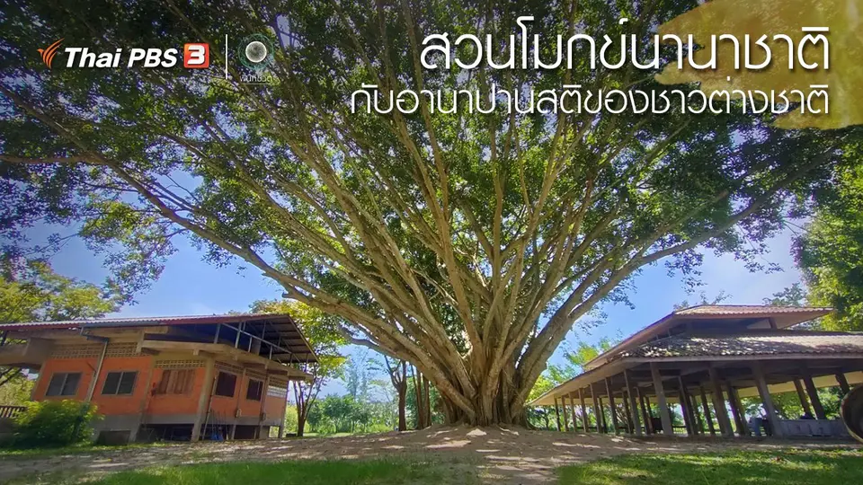 เปิดโลกเปิดความคิด : สวนโมกข์นานาชาติ กับอานาปานสติของชาวต่างชาติ