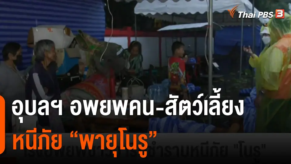อุบลฯ อพยพคน-สัตว์เลี้ยง หนีภัย "พายุโนรู"