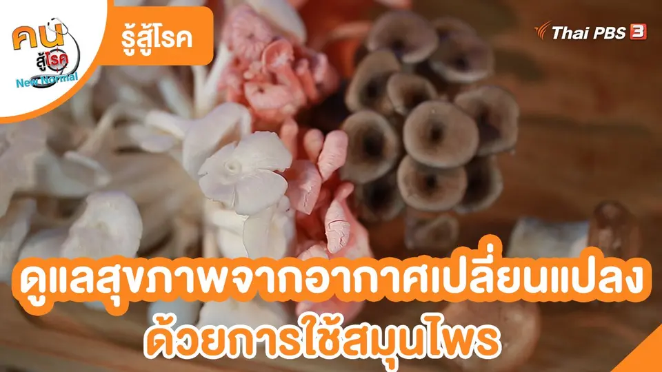 รู้สู้โรค : ดูแลสุขภาพจากอากาศเปลี่ยนแปลงด้วยการใช้สมุนไพร