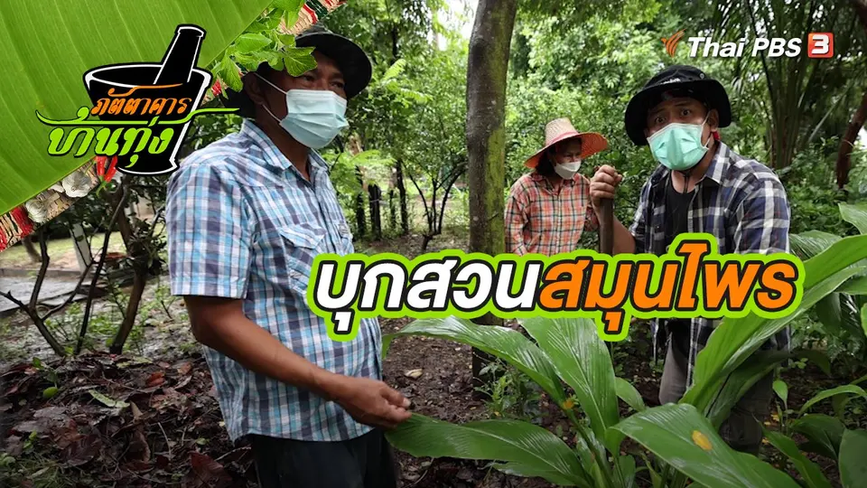 คลิปบ้านทุ่ง : บุกสวนสมุนไพร