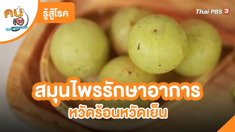 ​รู้สู้โรค : สมุนไพรรักษาอาการหวัดร้อนหวัดเย็น