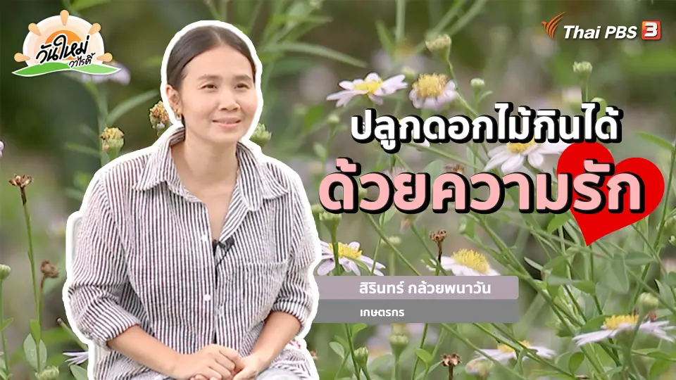 ​พอดีพอเพียง : ปลูกดอกไม้กินได้ ด้วยความรัก