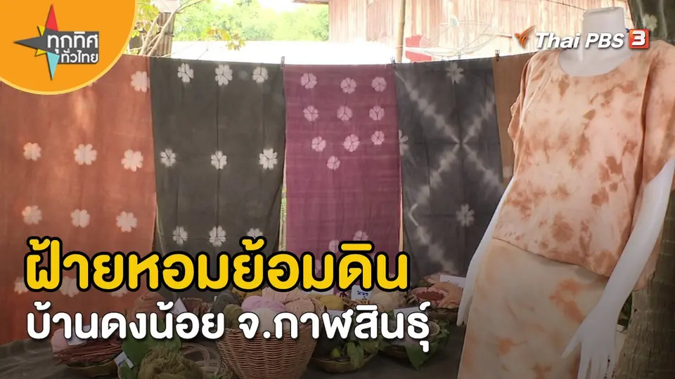 ​อาชีพทั่วไทย : ฝ้ายหอมย้อมดินบ้านดงน้อย จ.กาฬสินธุ์