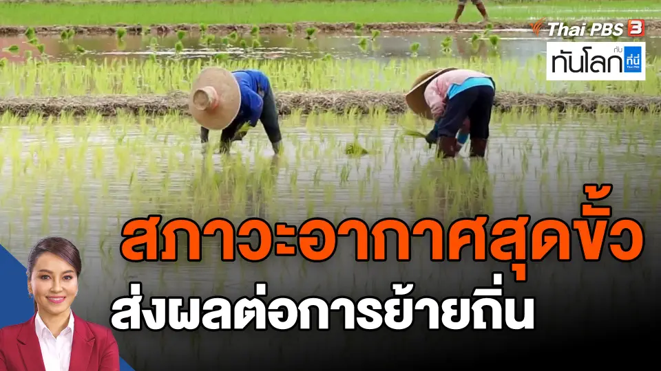สภาวะอากาศสุดขั้ว ส่งผลต่อการย้ายถิ่น