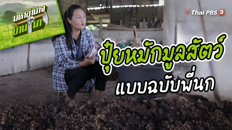 สูตรลับฉบับบ้านนา : ปุ๋ยหมักมูลสัตว์แบบฉบับพี่นก