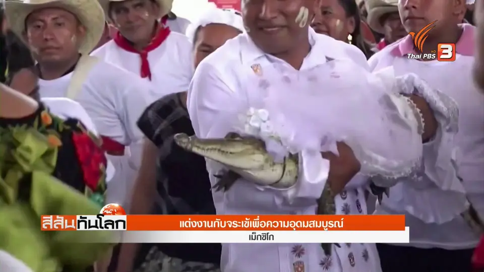 เม็กซิโก จัดแต่งงานกับจระเข้ เพื่อความอุดมสมบูรณ์