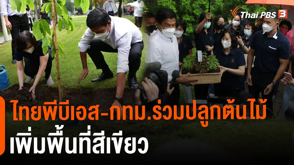 ไทยพีบีเอส-กทม.ร่วมปลูกต้นไม้เพิ่มพื้นที่สีเขียว